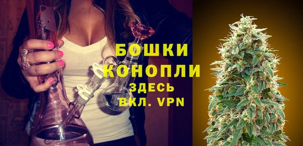 дживик Нея