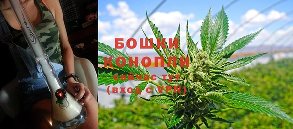 молекула духа Нефтегорск