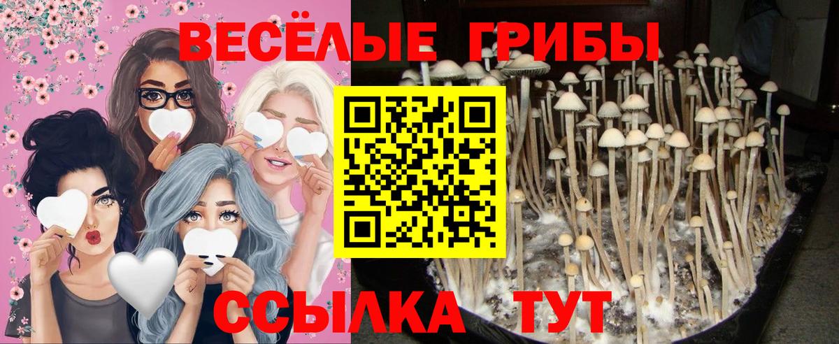 Галлюциногенные грибы мицелий  Зеленодольск 